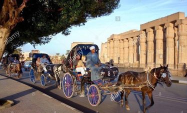 Luxor Horse-Drawn Carriage Tour