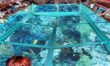 Glass-Bottom Boat Tour – Hurghada