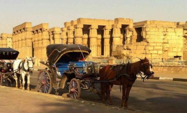 Exploring Local Life in Aswan by Horse Carriage