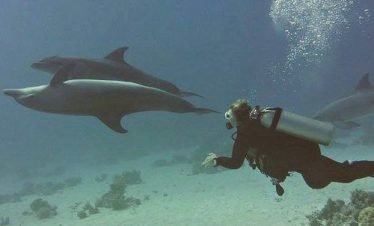 Royal Seascope Submarine Cruise with Snorkel – Hurghada