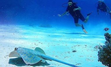 Snorkeling Boat Tour at Qulaan Islands