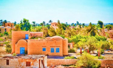 One-Day Fayoum Trip from Cairo