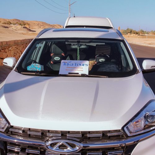 Private Transfer Services in Aswan