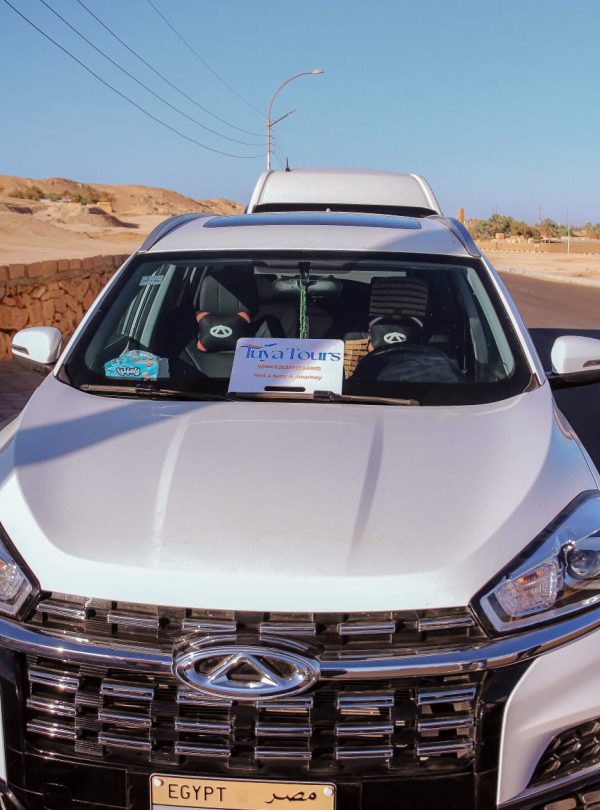 Private Transfer Services in Luxor