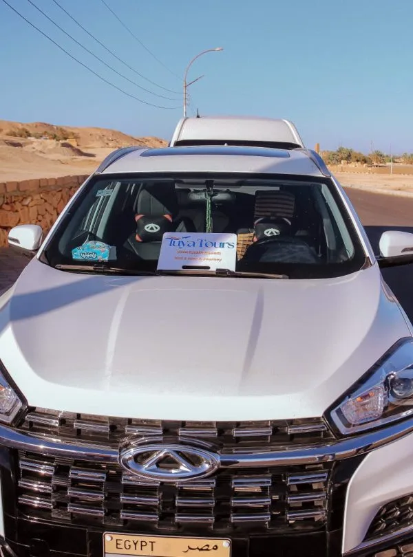 Private Transfer Services in Luxor