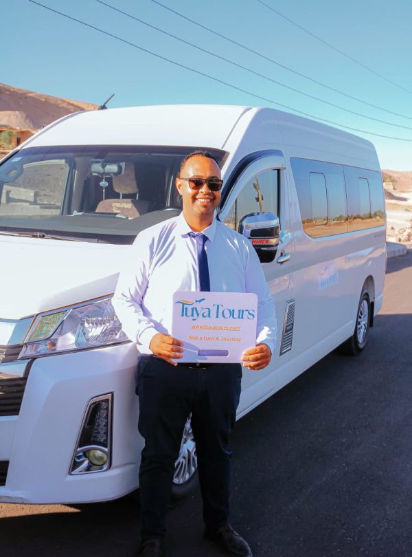 Private Transfer Services in Luxor