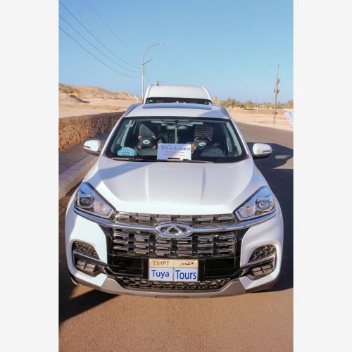 Private Transfer from Alexandria to Cairo – Door-to-Door Service
