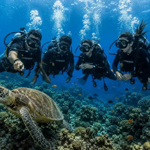 Discover Scuba Diving in Hurghada – 2 Dives for Beginners