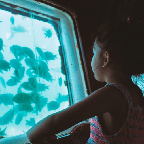 Glass-Bottom Boat & SeaScope Tour in Hurghada