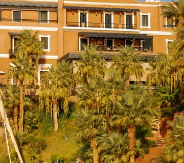 Pexels ali abdelshafy 244414791 31380559 360x320