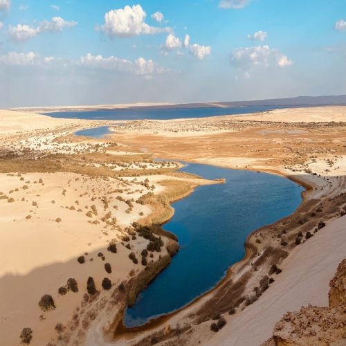 One Day Fayoum Adventure from Cairo | Wadi El Hitan, Magic Lake & Sandboarding Guided Tour