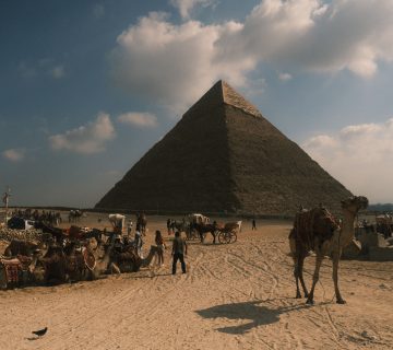 Pexels mfbeki 35807890 360x320